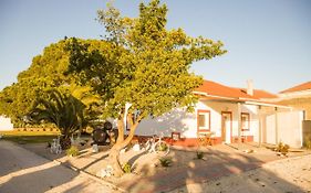 Casa Das Pipas #4
